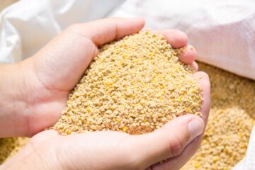 Evo Nutri Core Website Photo 2