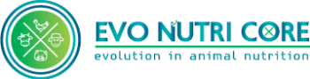 cropped-evo-logo.png